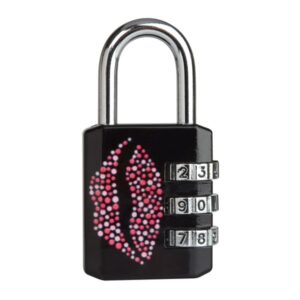 Kombinačný visiaci zámok Master Lock  1509EURDKISS - 30mm